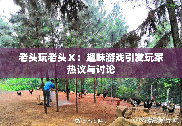 老头玩老头Ⅹ：趣味游戏引发玩家热议与讨论