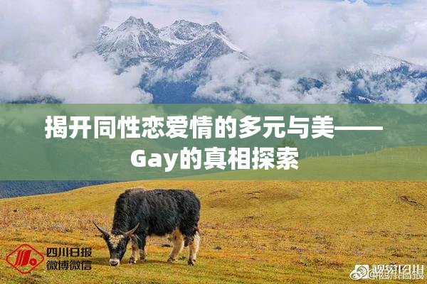 揭开同性恋爱情的多元与美——Gay的真相探索