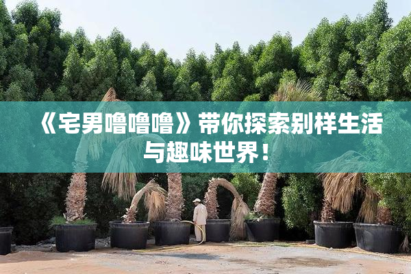 《宅男噜噜噜》带你探索别样生活与趣味世界！