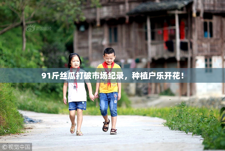 91斤丝瓜打破市场纪录，种植户乐开花！