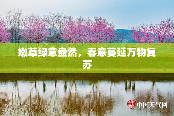 嫩草绿意盎然，春意蔓延万物复苏