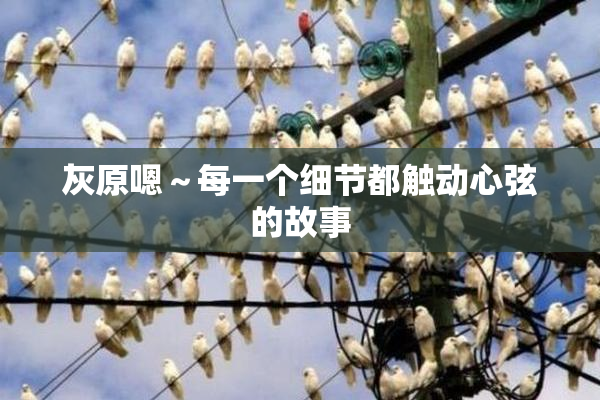 灰原嗯～每一个细节都触动心弦的故事