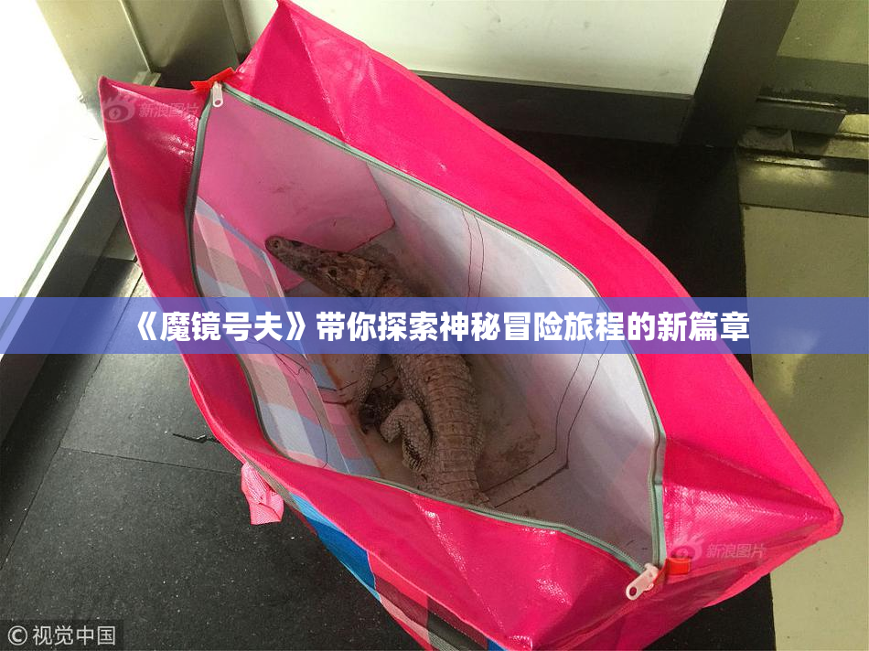 《魔镜号夫》带你探索神秘冒险旅程的新篇章