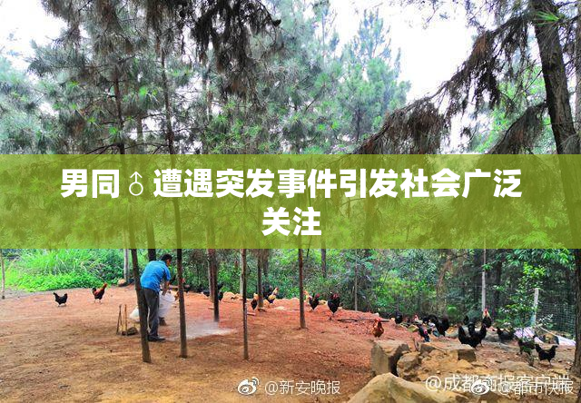 男同♂遭遇突发事件引发社会广泛关注