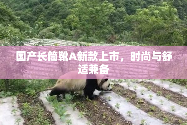 国产长筒靴A新款上市，时尚与舒适兼备