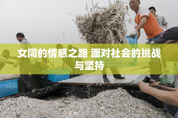女同的情感之路 面对社会的挑战与坚持