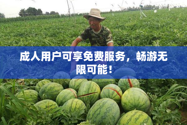 成人用户可享免费服务，畅游无限可能！