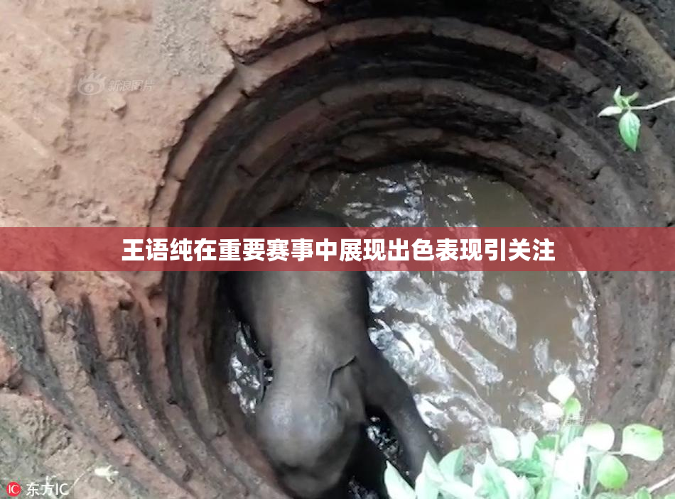 王语纯在重要赛事中展现出色表现引关注
