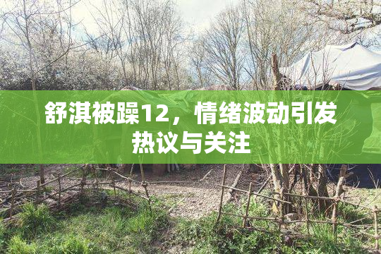 舒淇被躁12，情绪波动引发热议与关注