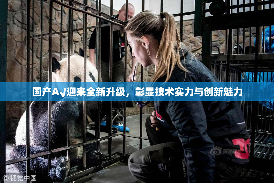 国产A√迎来全新升级，彰显技术实力与创新魅力