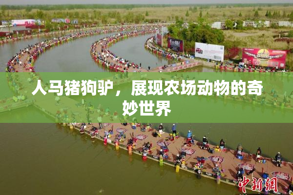 人马猪狗驴，展现农场动物的奇妙世界