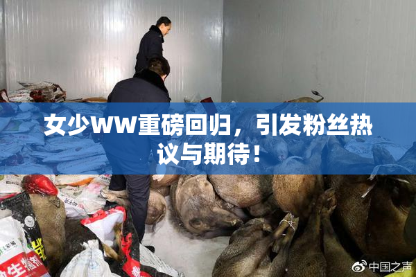 女少WW重磅回归，引发粉丝热议与期待！