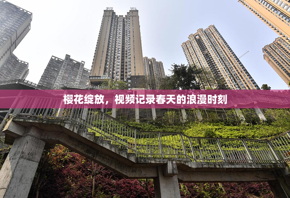 樱花绽放，视频记录春天的浪漫时刻