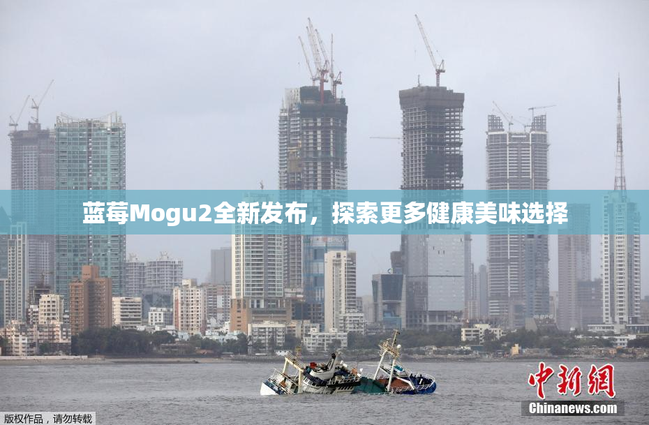 蓝莓Mogu2全新发布，探索更多健康美味选择