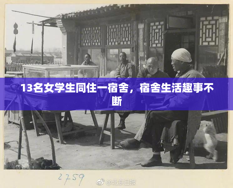 13名女学生同住一宿舍，宿舍生活趣事不断