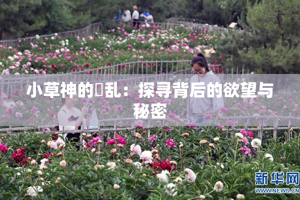 小草神的婬乱：探寻背后的欲望与秘密