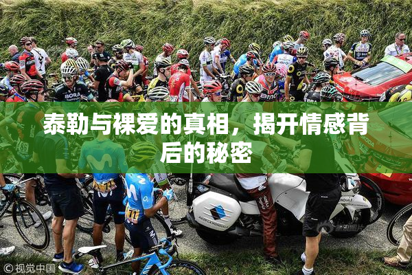 泰勒与裸爱的真相，揭开情感背后的秘密