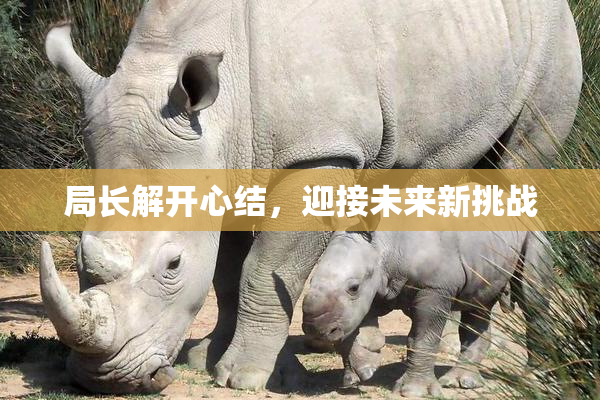 局长解开心结，迎接未来新挑战