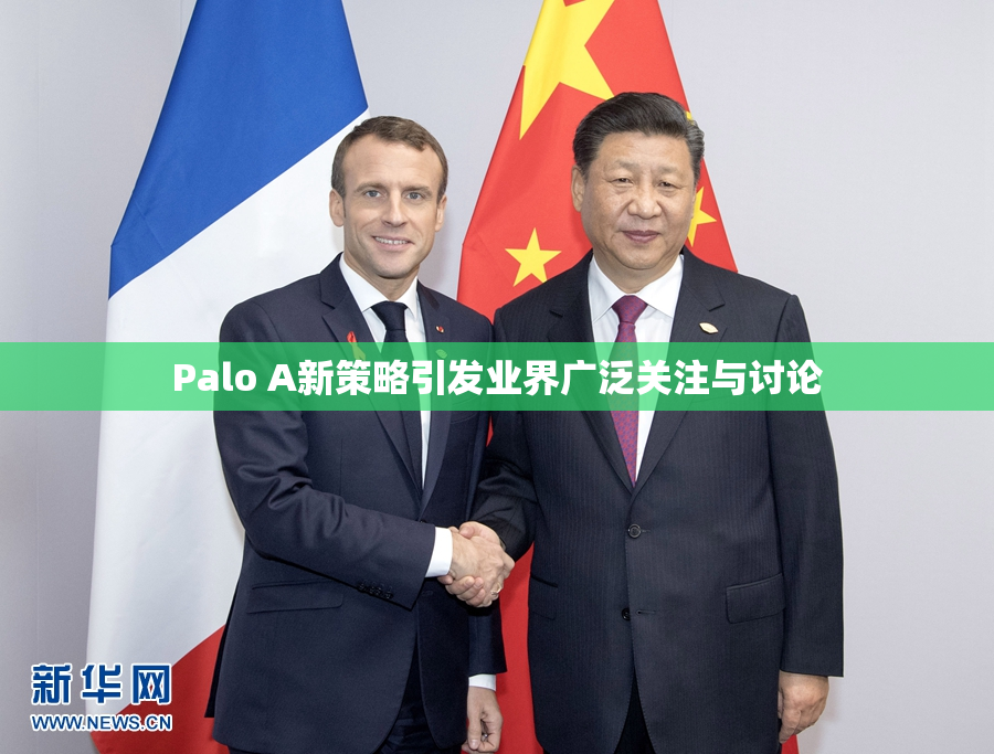 Palo A新策略引发业界广泛关注与讨论