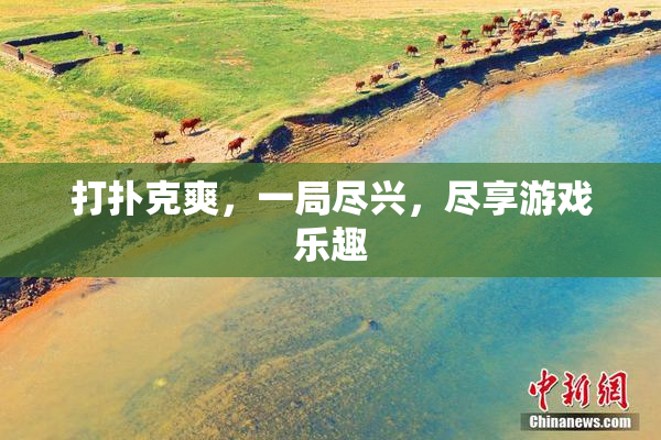 打扑克爽，一局尽兴，尽享游戏乐趣
