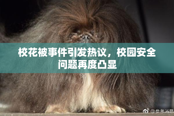 校花被事件引发热议，校园安全问题再度凸显