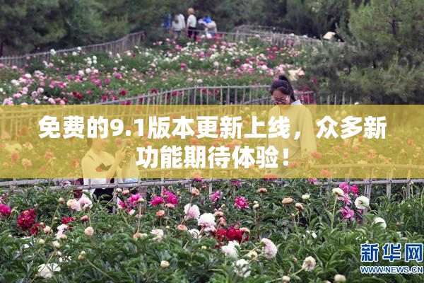 免费的9.1版本更新上线，众多新功能期待体验！