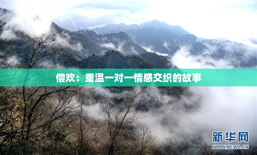 偿欢：重温一对一情感交织的故事