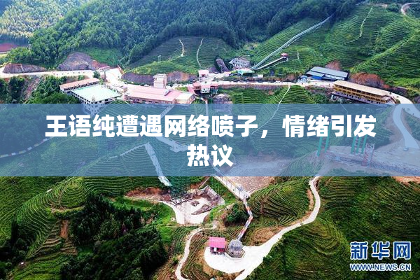 王语纯遭遇网络喷子，情绪引发热议