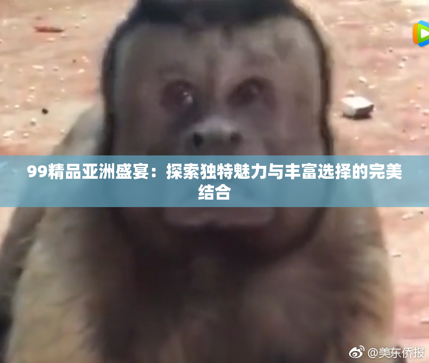 99精品亚洲盛宴：探索独特魅力与丰富选择的完美结合