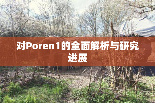 对Poren1的全面解析与研究进展