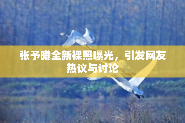 张予曦全新裸照曝光，引发网友热议与讨论