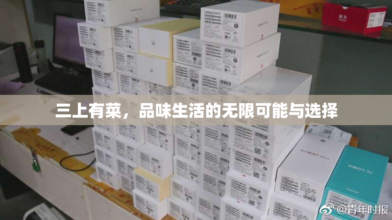 三上有菜，品味生活的无限可能与选择