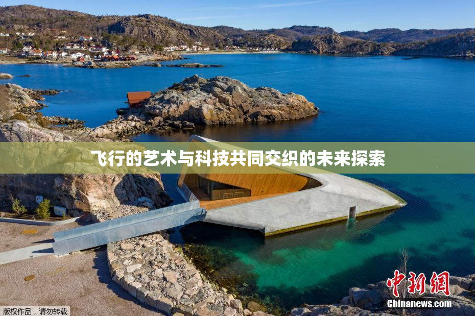 飞行的艺术与科技共同交织的未来探索