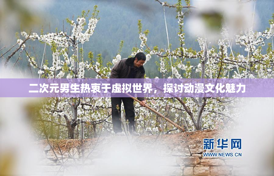 二次元男生热衷于虚拟世界，探讨动漫文化魅力