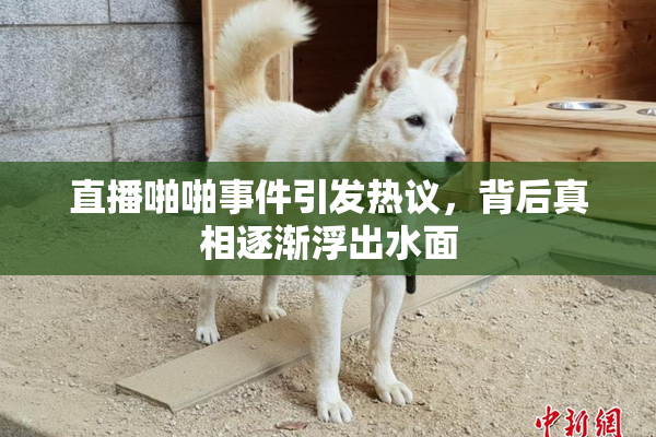 直播啪啪事件引发热议，背后真相逐渐浮出水面