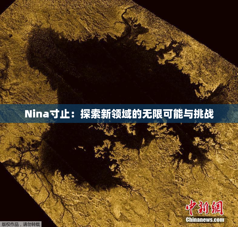 Nina寸止：探索新领域的无限可能与挑战