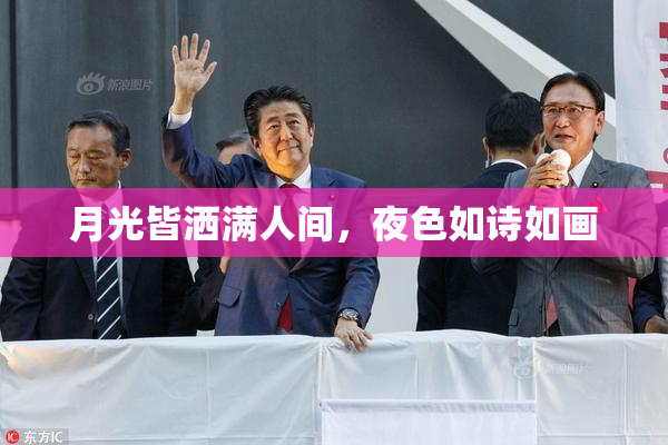 月光皆洒满人间，夜色如诗如画