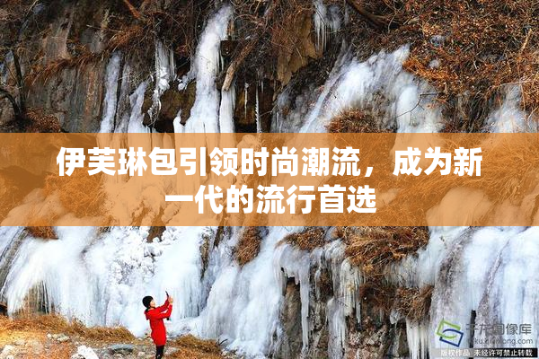 伊芙琳包引领时尚潮流，成为新一代的流行首选