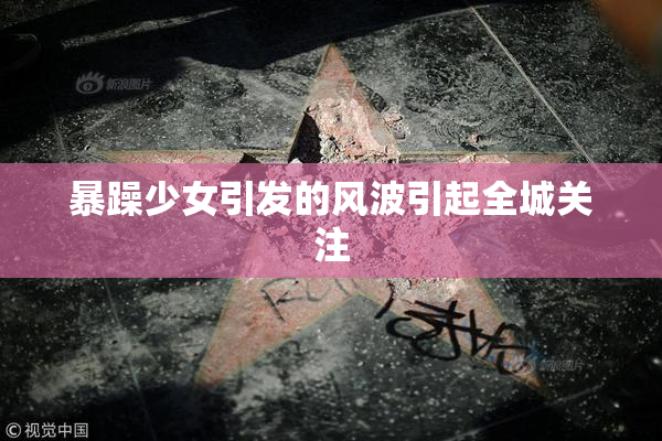 暴躁少女引发的风波引起全城关注