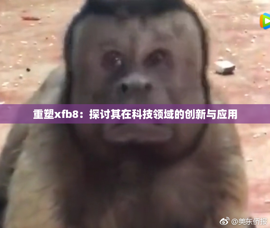 重塑xfb8：探讨其在科技领域的创新与应用