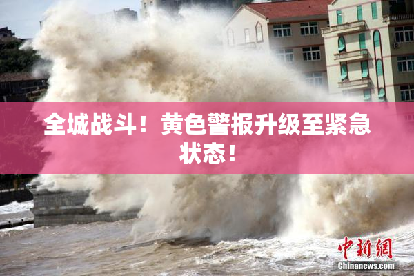 全城战斗！黄色警报升级至紧急状态！
