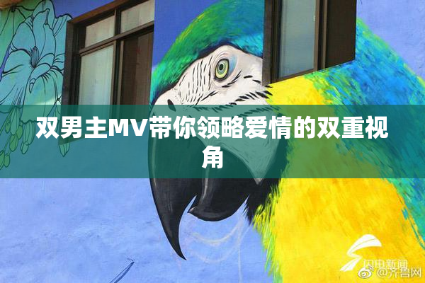 双男主MV带你领略爱情的双重视角