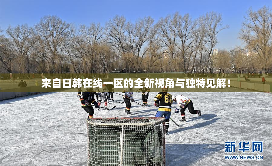 来自日韩在线一区的全新视角与独特见解！