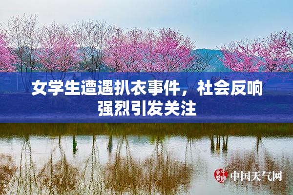 女学生遭遇扒衣事件，社会反响强烈引发关注