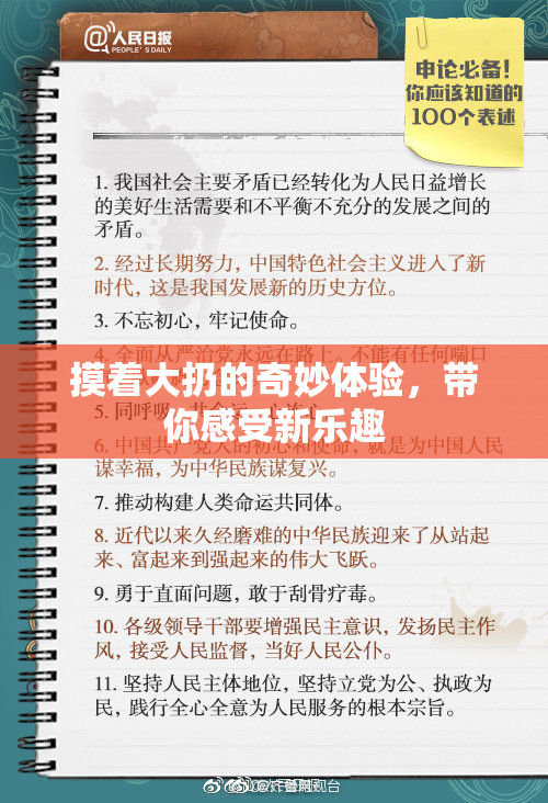 摸着大扔的奇妙体验，带你感受新乐趣
