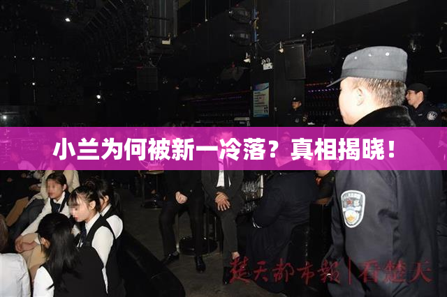 小兰为何被新一冷落？真相揭晓！