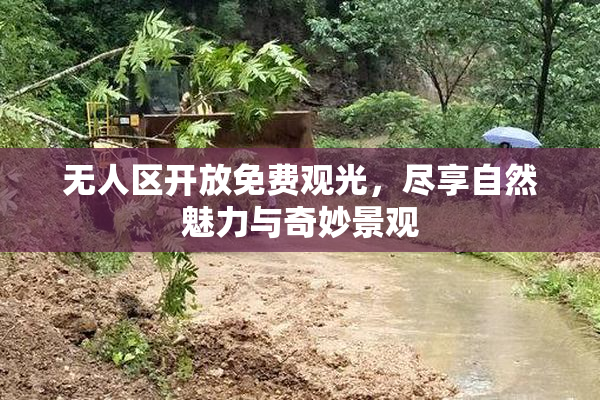 无人区开放免费观光，尽享自然魅力与奇妙景观