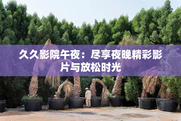 久久影院午夜：尽享夜晚精彩影片与放松时光