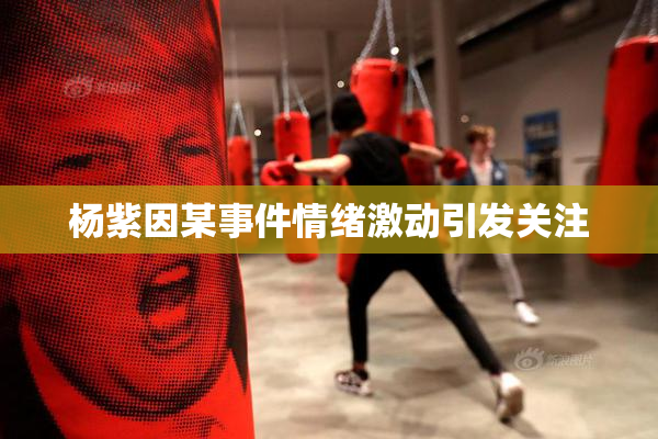 杨紫因某事件情绪激动引发关注