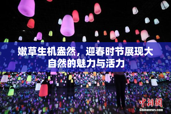 嫩草生机盎然，迎春时节展现大自然的魅力与活力